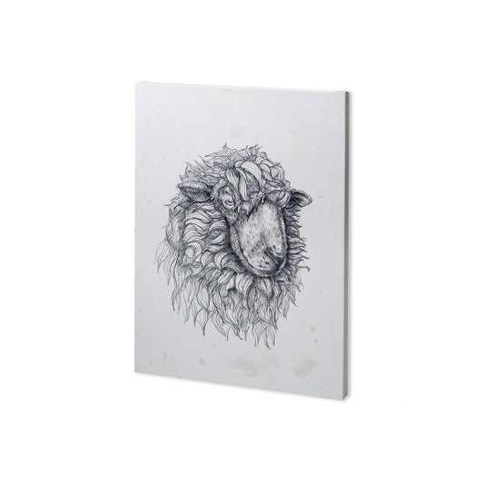 Sheep Portrait II (27 x 38)