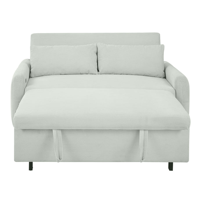 Pull-Out 2 Seat Modern Sleeper Sofa With 2 Throw Pillows And USB Ports
