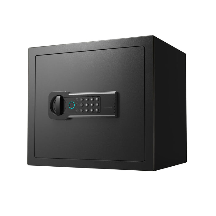 Home Safe, Fingerprint & Digital Keypad Lock, Security Cabinet