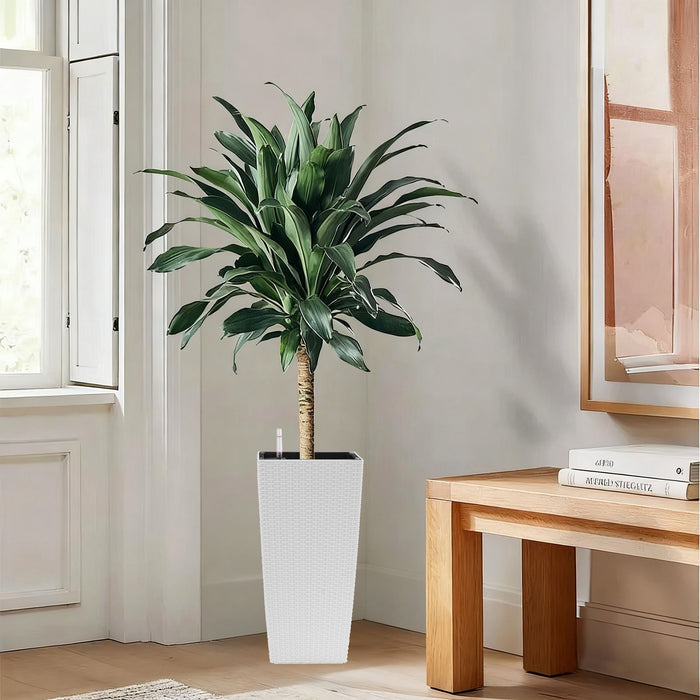Indoor Outdoor Planter With Automatic Watering System
