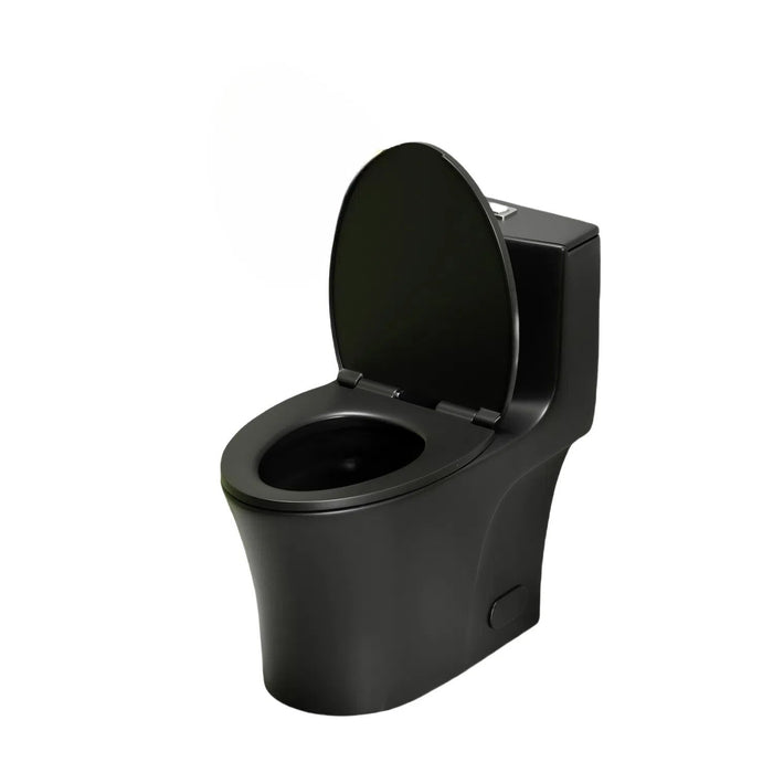 1 Piece Toilet With Dual Flush And Soft Closing Seat
