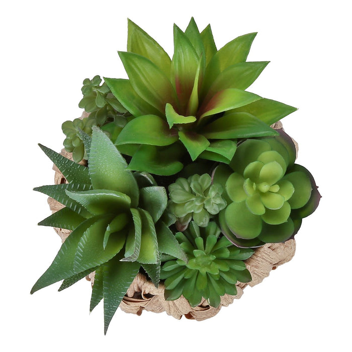Artificial Succulent, Table Decor (Set of 2) - Green