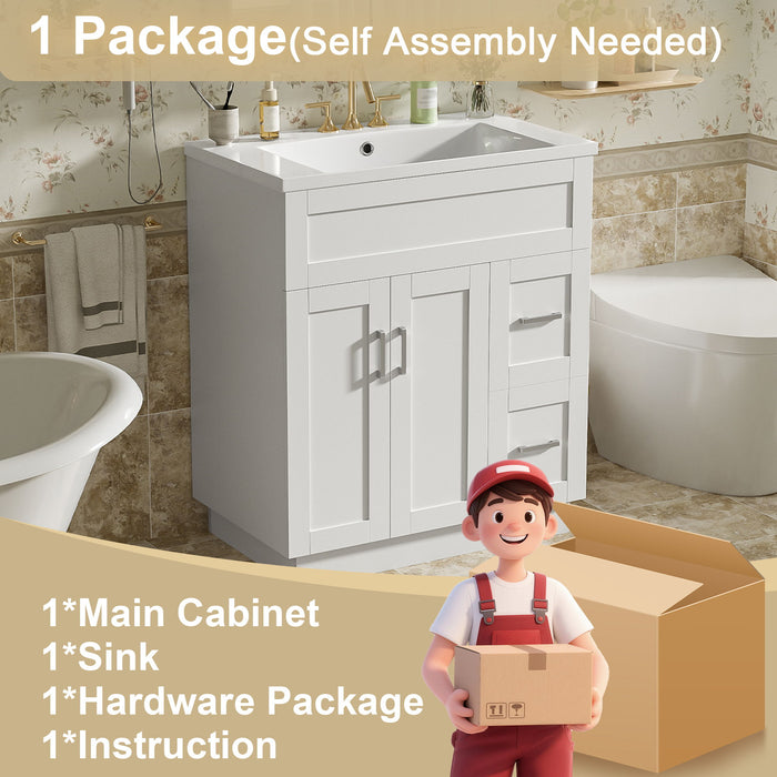 Bathroom Vanity With 2 Doors, 2 Drawers, Adjustable Shelf, Hidden Slides & Soft Close Hinges