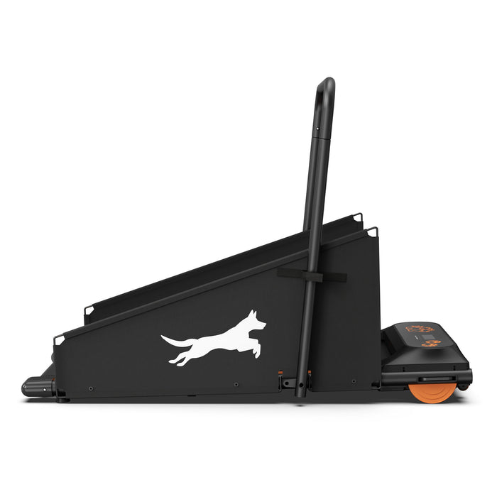 Dog Treadmill For Small To Medium Dogs With LED Display - Black / Orange