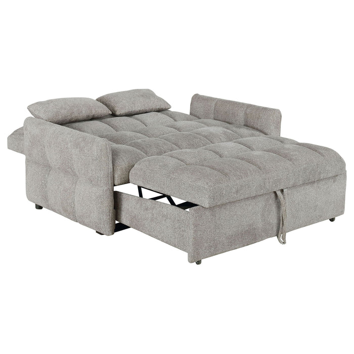 Alvara - Tufted Cushion Pull Out Sleeper Sofa Bed