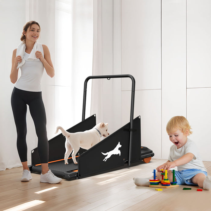Dog Treadmill For Small To Medium Dogs With LED Display - Black / Orange