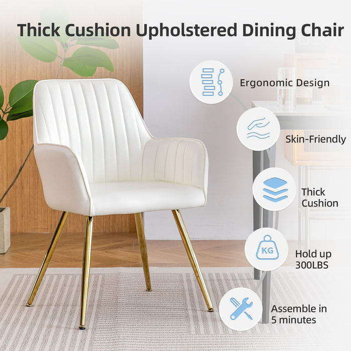 Modern Mid Back Dining Chairs