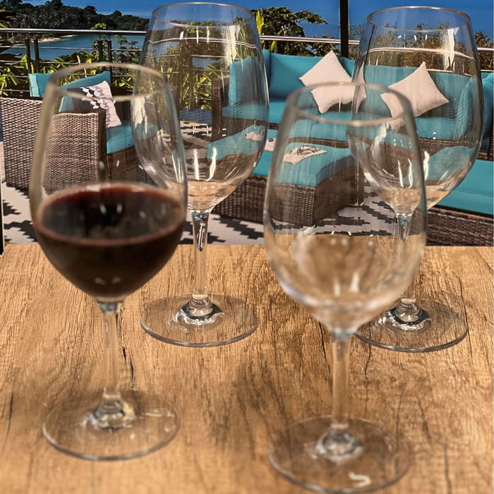 Leadingware Unbreakable Tritan Wine Glass (Set of 4), 20Oz, Bpa Free - Clear