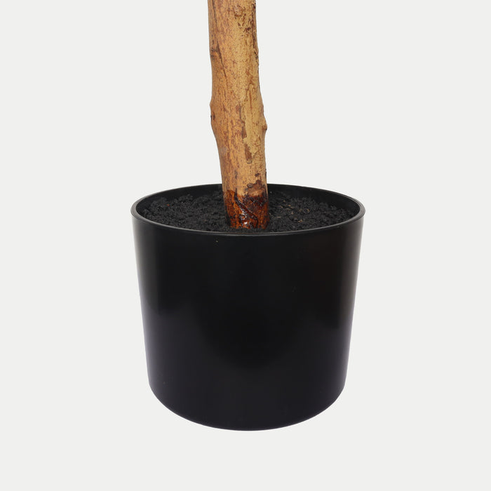 6Ft Artificial Ficus Tree With Natural Trunk In Pot For Indoor Home Office Decor - Green Leaves