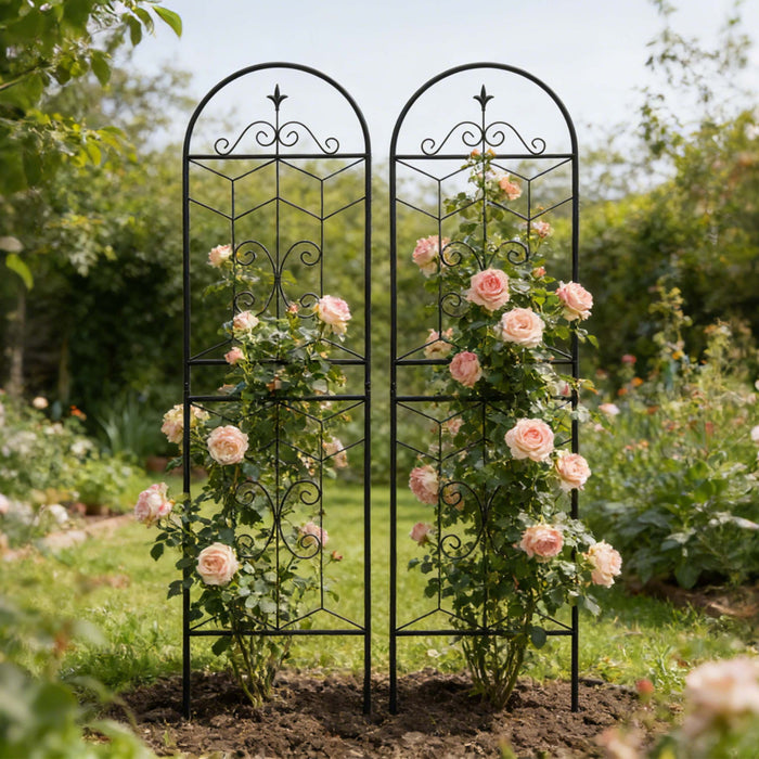 Garden Trellis, Rustproof Support For Climbing Plants