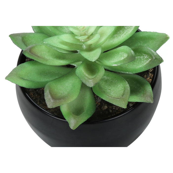 Artificial Succulent Plants (Set of 3)