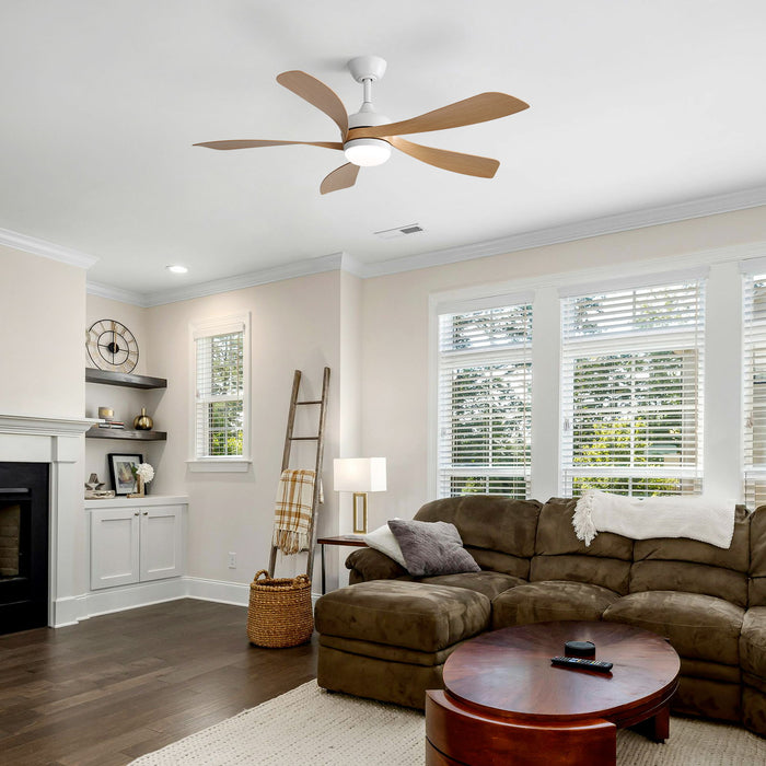 Ceiling Fan & DC Motor And Integrated Light