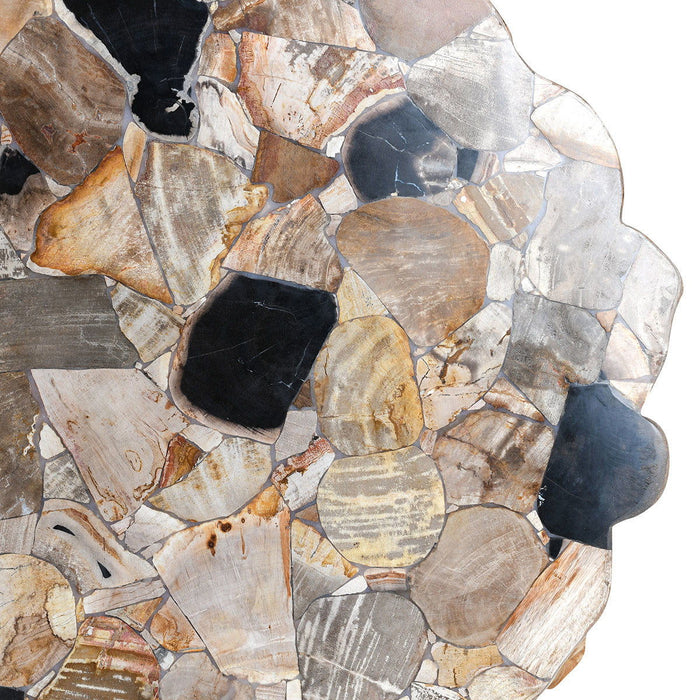 Norwest - Petrified Wood Coffee Table - Natural