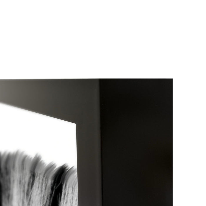 Zebras - 48" x 72" Photography - Black / White