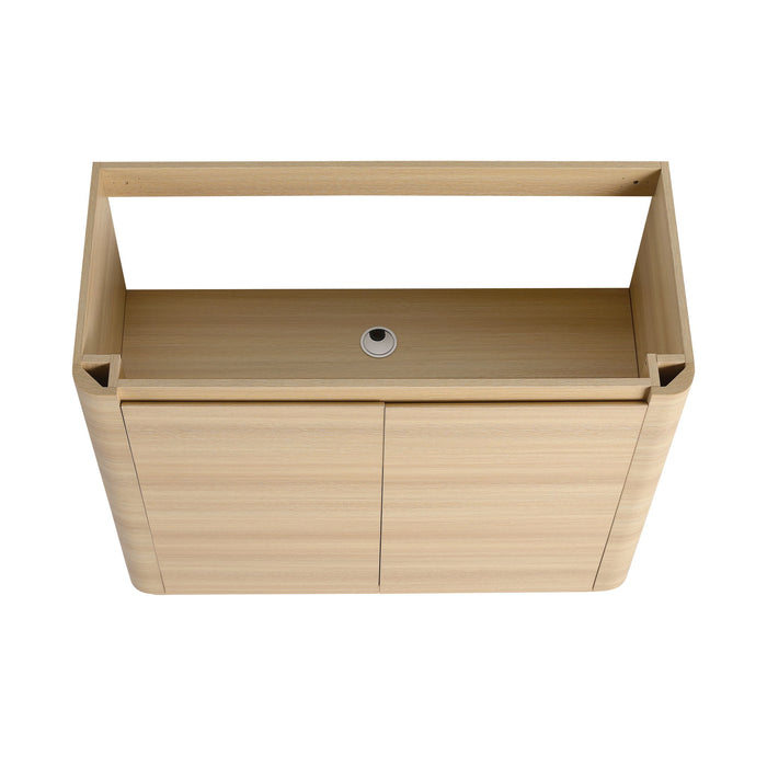 Freestanding Bathroom Vanity With Sink & 2 Soft Close Doors