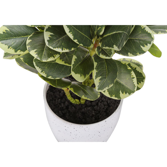 Artificial Ficus Elastica Plant (Set of 2)