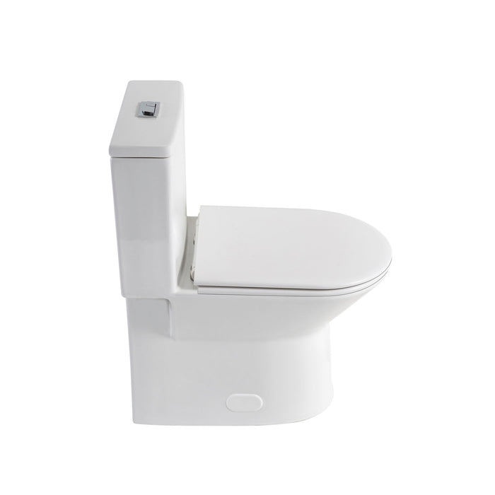 1 Piece Toilet With Dual Flush & Rimless Bowl - Glossy White