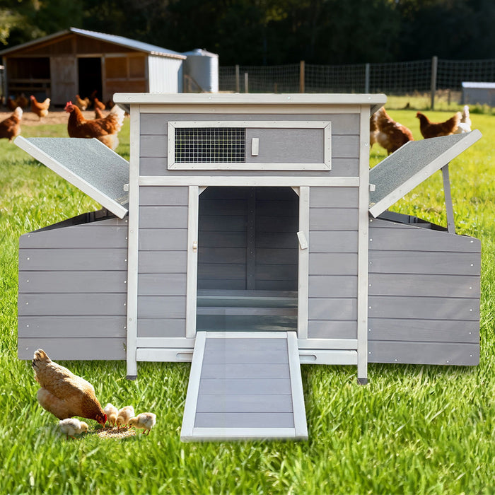 Large Chicken Coop Outdoor Hen House With Dual Nesting Boxes