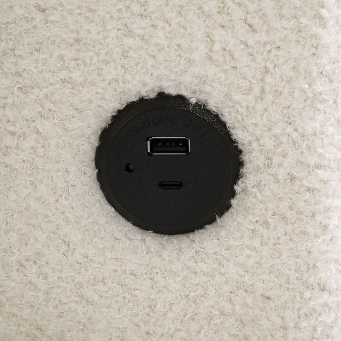 U-Shaped Sectional Sofa Bed With Storage And USB Ports