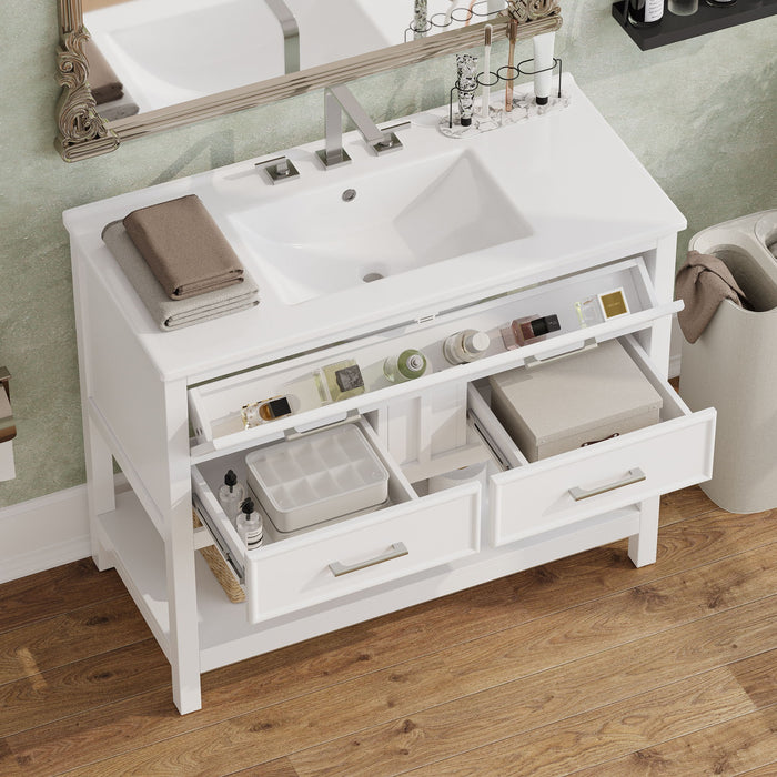 Bathroom Vanity With Ceramic Sink, Tip Out Tray & 2 Full Extension Drawers
