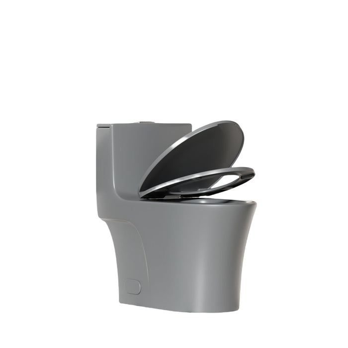 1 Piece Toilet With Dual Flush And Soft Closing Seat