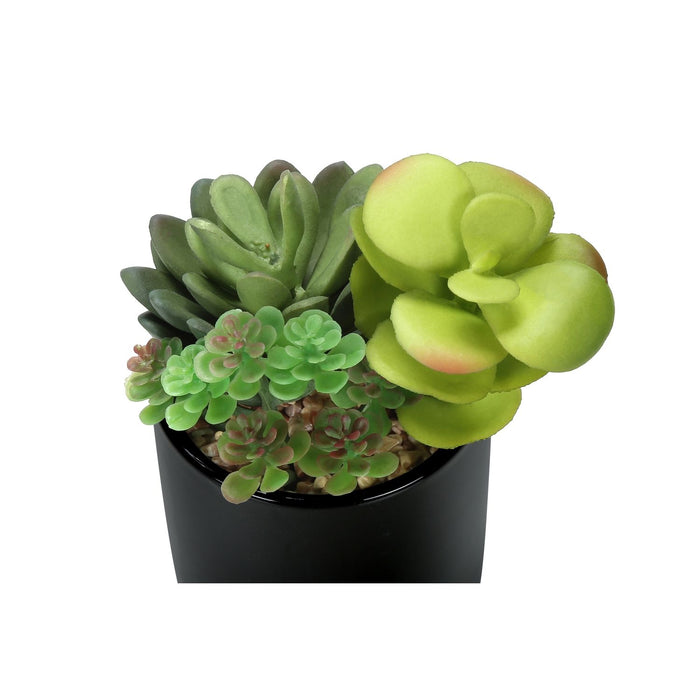 Artificial Succulent Plants (Set of 2)