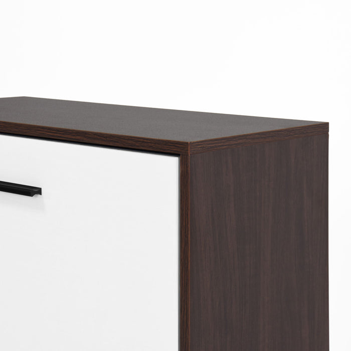 Modern Freestanding Shoe Storage Cabinet With 3 Flip Drawers