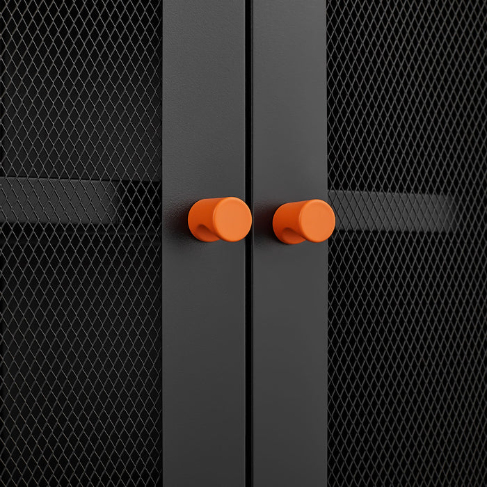 Modern Metal Shoe Cabinet With DoublebSided Mesh Doors And Adjustable Partitions