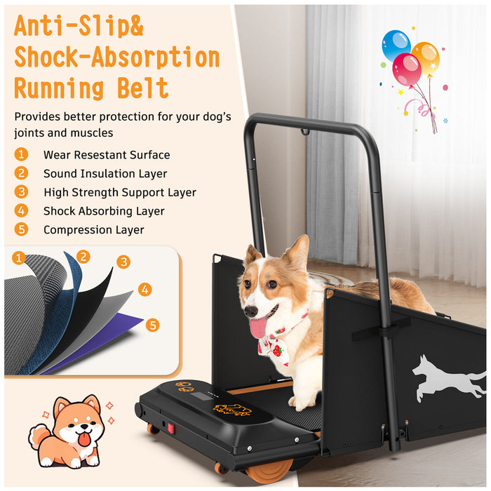 Dog Treadmill For Small To Medium Dogs With LED Display - Black / Orange