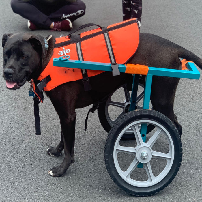 Universal 12" Spoked Plastic Wheel And Tire For Lawn Mowers & Trolley Carts, 10 Pack - Black