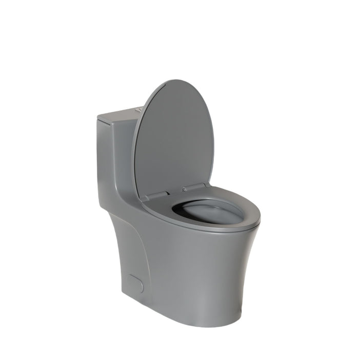 1 Piece Toilet With Dual Flush And Soft Closing Seat
