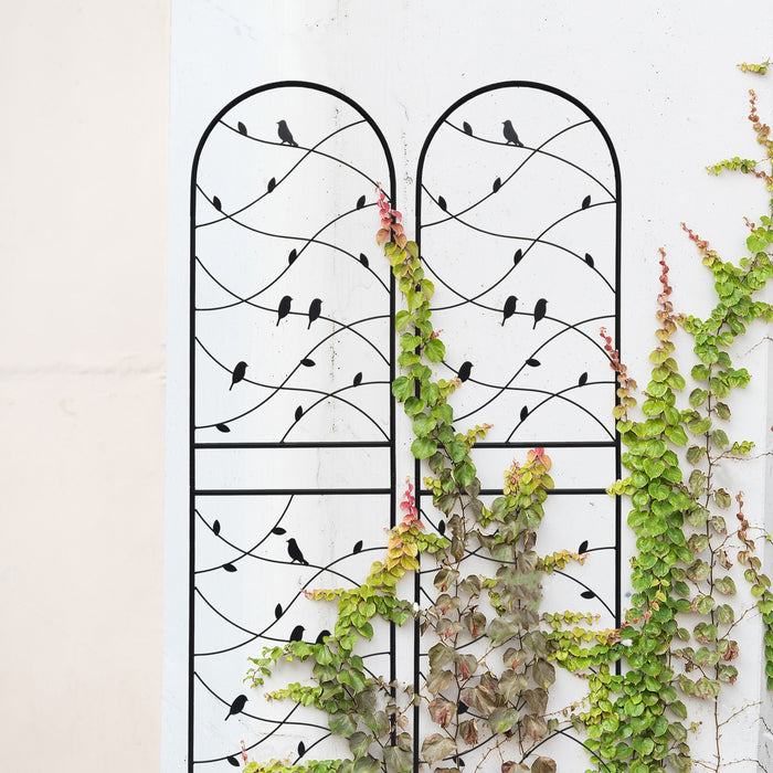 Garden Rustproof Trellis For Climbing Plants