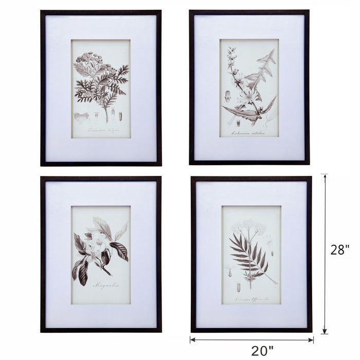 Botanical Wall Art Prints, Home Decor For Living Room Dining Room, Bedroom, Hallway (Set of 4) - White / Black