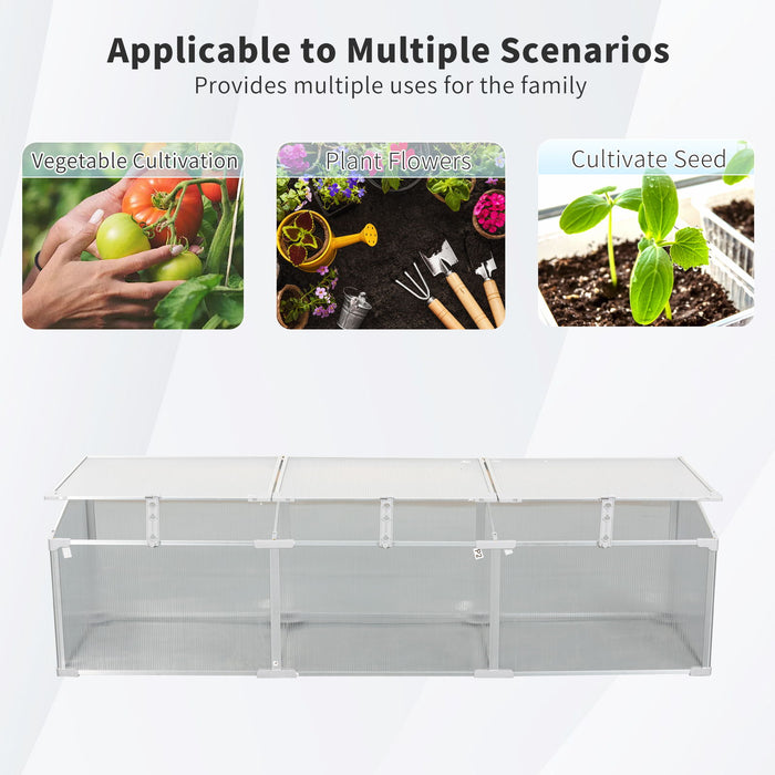 Polycarbonate Greenhouse For Outdoors In Winter - Silver