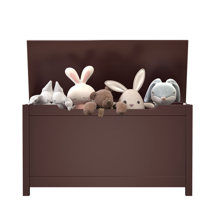 Toy Box Storage With Safety Hinged Lid