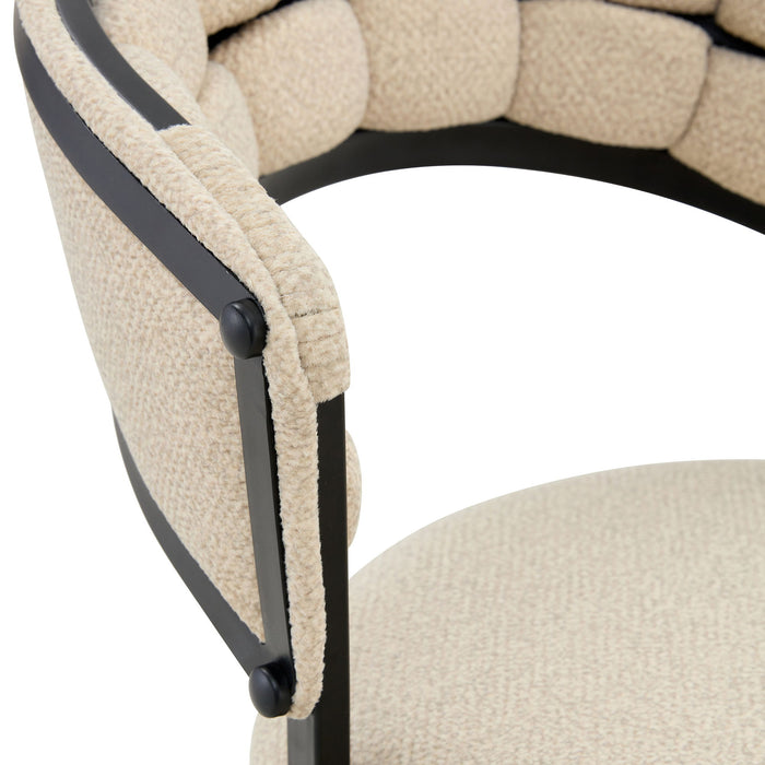 Dining Chairs For Dining Room & Kitchen (Set of 2)