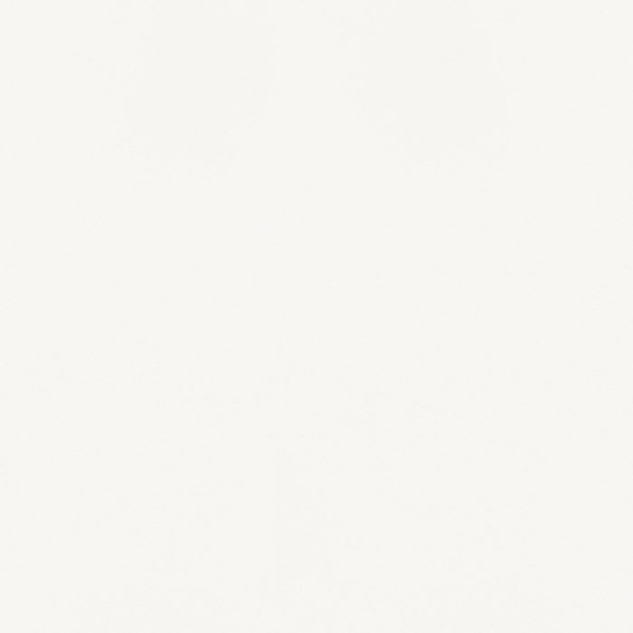 Darby - Upholstered Dining Side Chair (Set of 2) - White