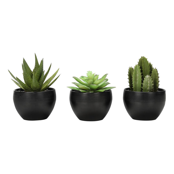 Artificial Succulent Plants (Set of 3)