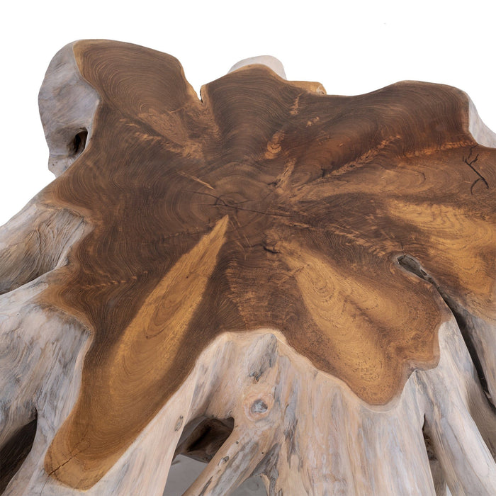 Cypress - Root Coffee Table - Natural White Wash