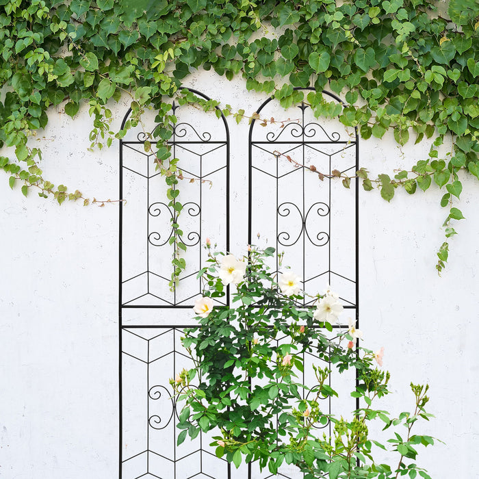 Garden Trellis, Rustproof Support For Climbing Plants