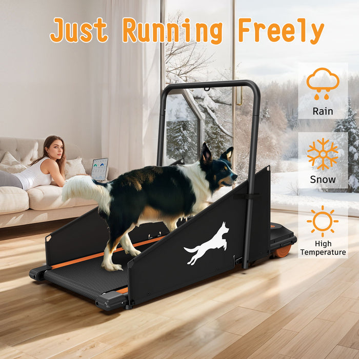 Dog Treadmill For Small To Medium Dogs With LED Display - Black / Orange