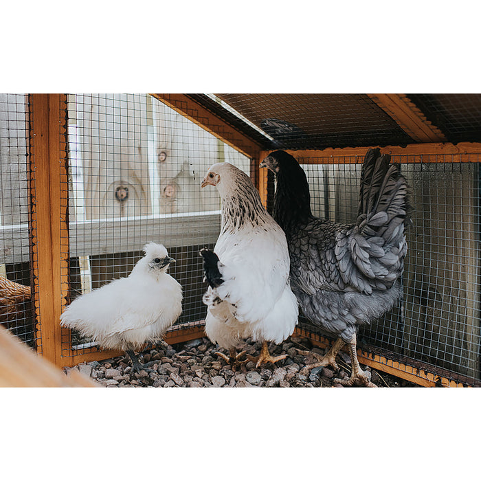 Galvanized Hardware Cloth, Gauge Metal Wire Fencing Roll For Garden And Animal Protection - Silver