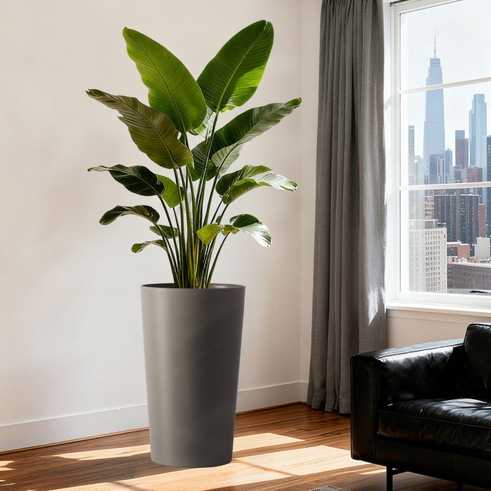 Planter For Outdoor