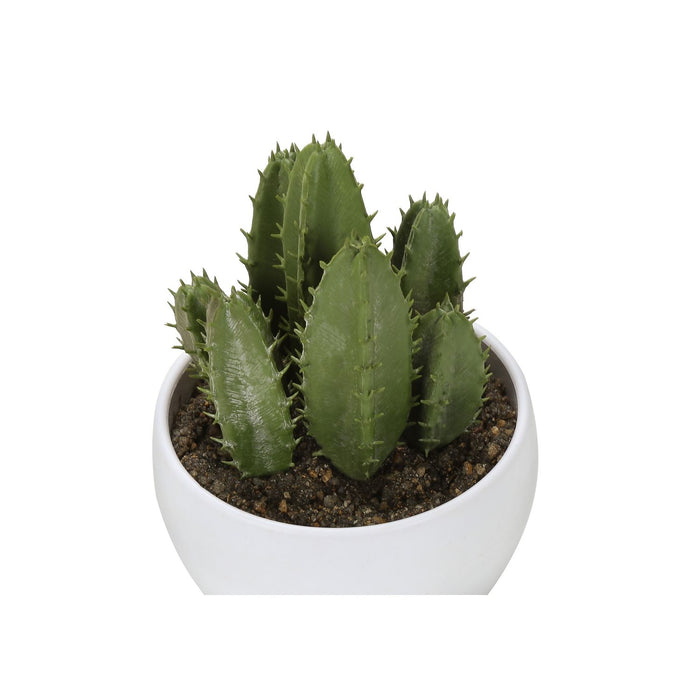 Artificial Succulent Plants (Set of 3)