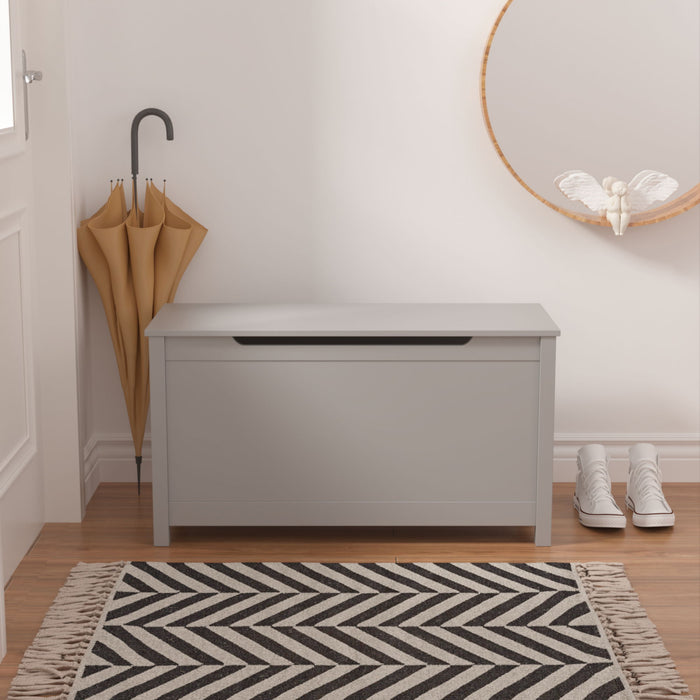 Toy Box Storage With Safety Hinged Lid