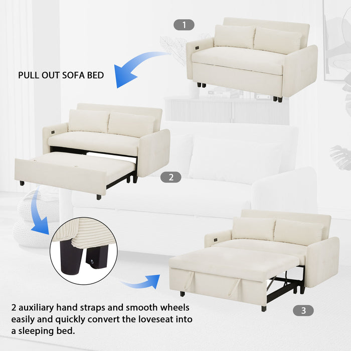 Pull-Out 2 Seat Modern Sleeper Sofa With 2 Throw Pillows And USB Ports