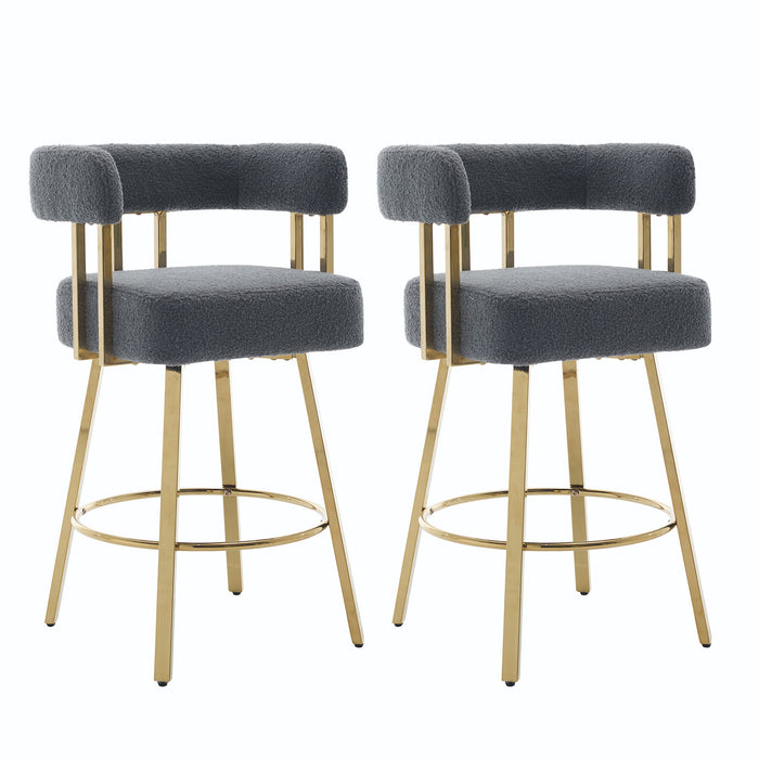 Decorative Upholstered Side Chair For Living Room (Set of 2)