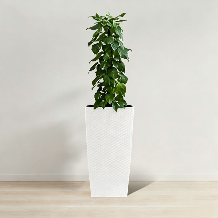 Indoor Outdoor Planter With Automatic Watering System