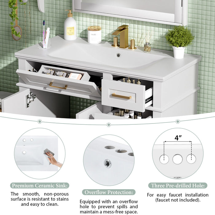 Modern Bathroom Vanity With Ceramic Sink, Soft Close Storage Cabinet