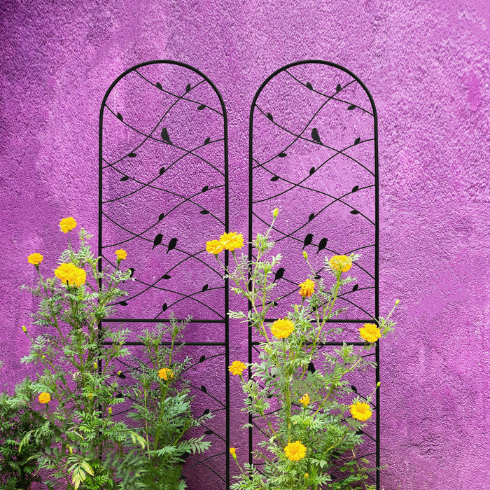 Garden Rustproof Trellis For Climbing Plants